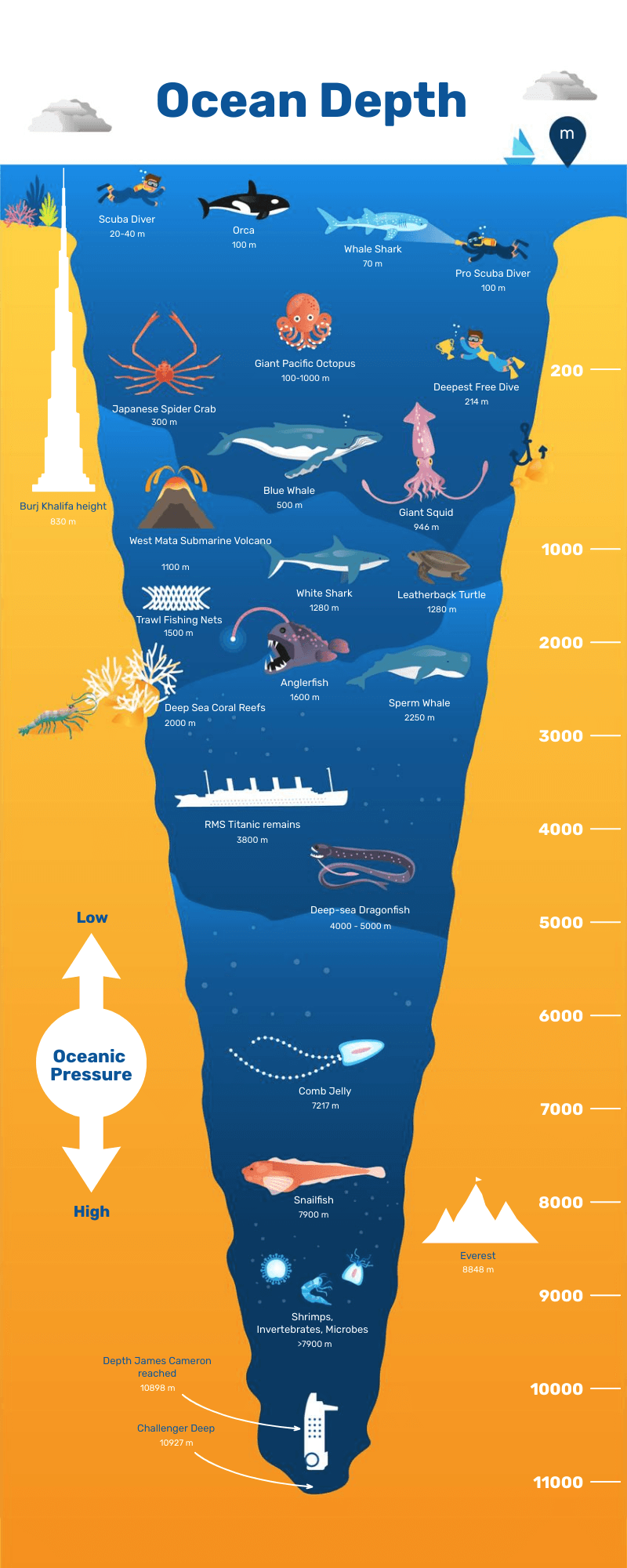 Infographic viral content